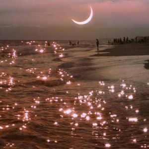 Meet your Posher, Clare